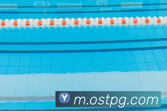 App Interface Preview