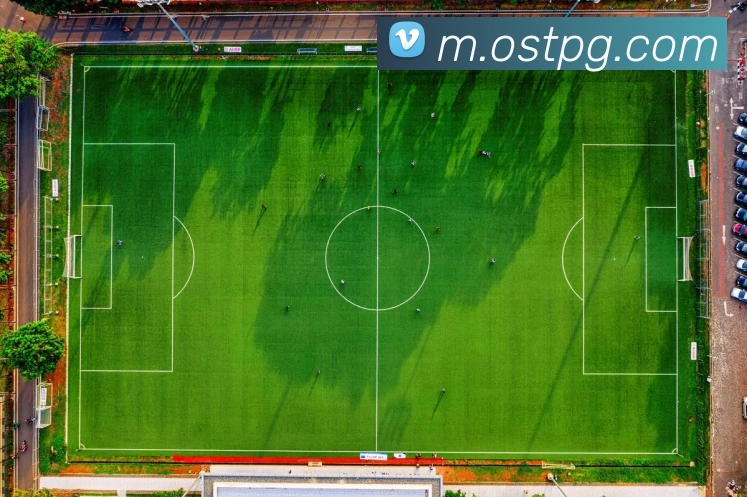 澳门新葡京官方网站APP 封面图